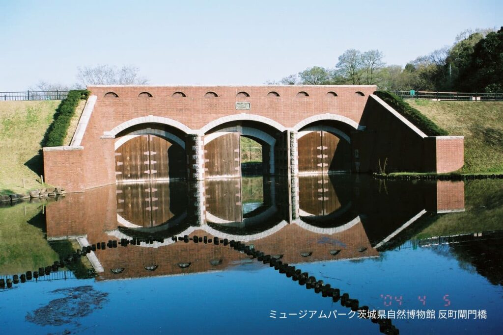 ミュージアムパーク茨城県自然博物館 橋梁復元工事